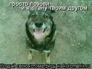 просто позови и я стану твоим другом... Котоматрица: просто позови и я стану твоим другом