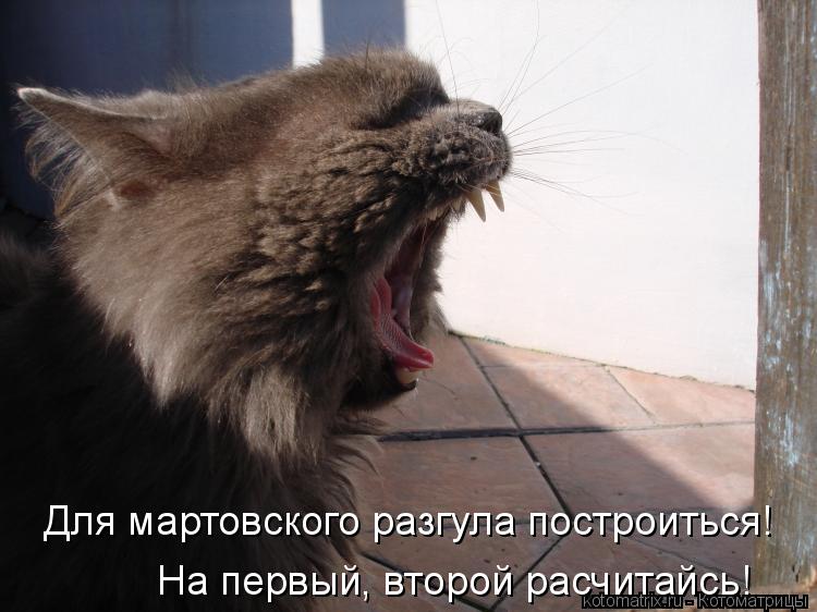 На первый, второй расчитайсь! Для мартовского разгула построиться!... Котоматрица: На первый, второй расчитайсь! Для мартовского разгула построиться!