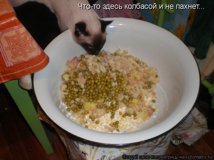Что-то здесь колбасой и не пахнет...... Котоматрица: Что-то здесь колбасой и не пахнет...