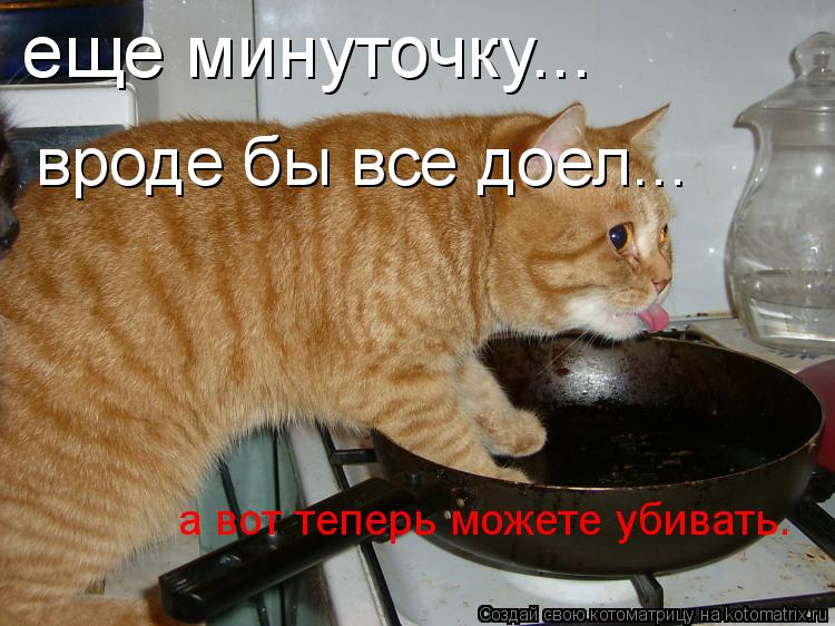 еще минуточку... вроде бы все доел... а вот теперь можете убивать.... Котоматрица: еще минуточку... вроде бы все доел... а вот теперь можете убивать.