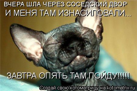ВЧЕРА ШЛА ЧЕРЕЗ СОСЕДСКИЙ ДВОР И МЕНЯ ТАМ ИЗНАСИЛОВАЛИ... ЗАВТРА ОПЯТЬ ТАМ ПОЙДУ!!!!!... Котоматрица: ВЧЕРА ШЛА ЧЕРЕЗ СОСЕДСКИЙ ДВОР И МЕНЯ ТАМ ИЗНАСИЛОВАЛИ... ЗАВТРА ОПЯТЬ ТАМ ПОЙДУ!!!!!