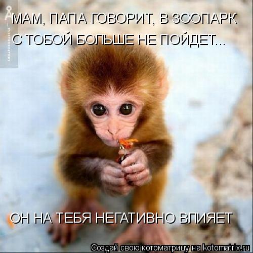 МАМ, ПАПА ГОВОРИТ, В ЗООПАРК С ТОБОЙ БОЛЬШЕ НЕ ПОЙДЕТ... ОН НА ТЕБЯ НЕГАТИВНО ВЛИЯЕТ... Котоматрица: МАМ, ПАПА ГОВОРИТ, В ЗООПАРК С ТОБОЙ БОЛЬШЕ НЕ ПОЙДЕТ... ОН НА ТЕБЯ НЕГАТИВНО ВЛИЯЕТ