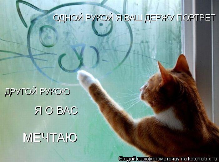 ОДНОЙ РУКОЙ Я ВАШ ДЕРЖУ ПОРТРЕТ ДРУГОЙ РУКОЮ Я О ВАС МЕЧТАЮ... Котоматрица: ОДНОЙ РУКОЙ Я ВАШ ДЕРЖУ ПОРТРЕТ ДРУГОЙ РУКОЮ Я О ВАС МЕЧТАЮ
