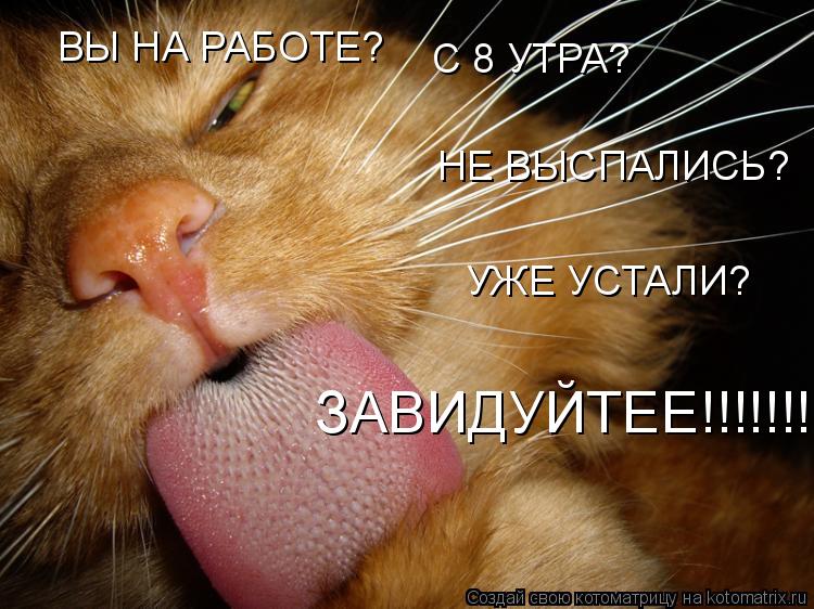 ВЫ НА РАБОТЕ? С 8 УТРА? НЕ ВЫСПАЛИСЬ? УЖЕ УСТАЛИ? ЗАВИДУЙТЕЕ!!!!!!!!!!!!!!!!!!!!!!!!!... Котоматрица: ВЫ НА РАБОТЕ? С 8 УТРА? НЕ ВЫСПАЛИСЬ? УЖЕ УСТАЛИ? ЗАВИДУЙТЕЕ!!!!!!!!!!!!!!!!!!!!!!!!!
