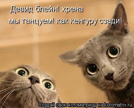 Девид блейн! хрена мы танцуем! как кенгуру сзади!... Котоматрица: Девид блейн! хрена мы танцуем! как кенгуру сзади!