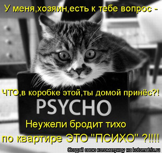 У меня,хозяин,есть к тебе вопрос - ЧТО,в коробке этой,ты домой принёс?! Неужели бродит тихо по кварти... Котоматрица: У меня,хозяин,есть к тебе вопрос - ЧТО,в коробке этой,ты домой принёс?! Неужели бродит тихо по квартире ЭТО "ПСИХО" ?!!!!