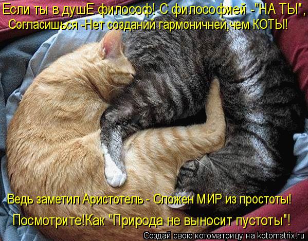 Котоматрица: Ведь заметил Аристотель - Сложен МИР из простоты! Если ты в душЕ философ! С философией -"НА ТЫ", Согласишься -Нет созданий гармоничней,чем КОТ