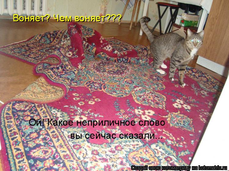 Воняет? Чем воняет??? Ой! Какое неприличное слово вы сейчас сказали...... Котоматрица: Воняет? Чем воняет??? Ой! Какое неприличное слово вы сейчас сказали...
