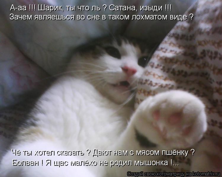 А-аа !!! Шарик, ты что ль ? Сатана, изыди !!! Зачем являешься во сне в таком лохматом виде ? Чё ты хо... Котоматрица: А-аа !!! Шарик, ты что ль ? Сатана, изыди !!! Зачем являешься во сне в таком лохматом виде ? Чё ты хотел сказать ? Дают нам с мясом пшёнку ? Болван !