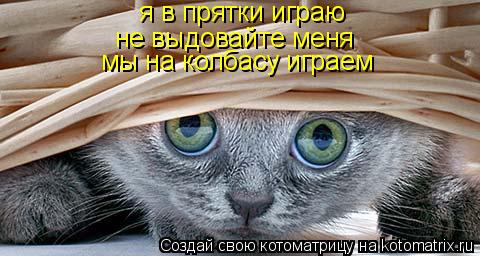 я в прятки играю не выдовайте меня мы на колбасу играем... Котоматрица: я в прятки играю не выдовайте меня мы на колбасу играем