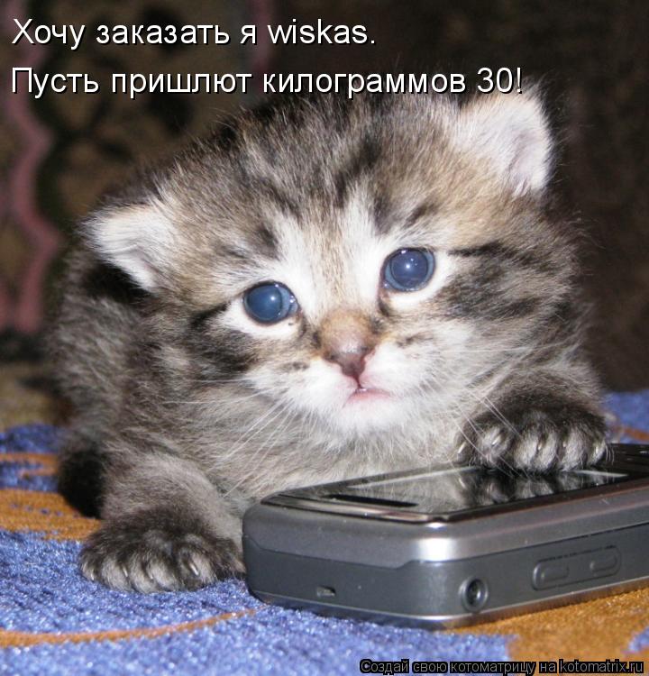 Хочу заказать я wiskas. Пусть пришлют килограммов 30!... Котоматрица: Хочу заказать я wiskas. Пусть пришлют килограммов 30!