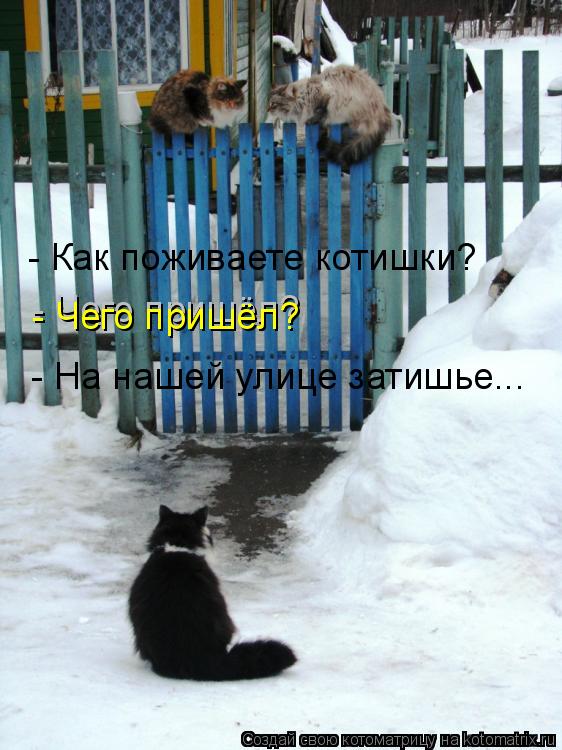 - Как поживаете котишки? - Чего пришёл? - Чего пришёл? - На нашей улице затишье...... Котоматрица: - Как поживаете котишки? - Чего пришёл? - Чего пришёл? - На нашей улице затишье...