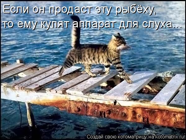 Если он продаст эту рыбёху, то ему купят аппарат для слуха...... Котоматрица: Если он продаст эту рыбёху, то ему купят аппарат для слуха...