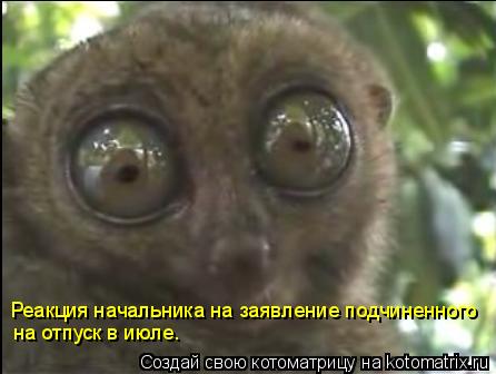 Реакция начальника на заявление подчиненного на отпуск в июле.... Котоматрица: Реакция начальника на заявление подчиненного на отпуск в июле.