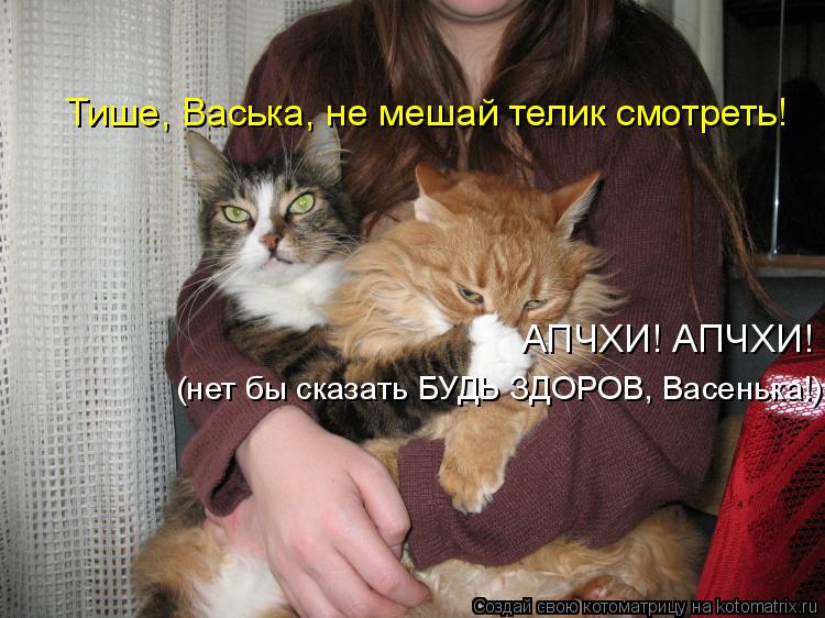 Котоматрица: Тише, Васька, не мешай телик смотреть! АПЧХИ! АПЧХИ! (нет бы сказать БУДЬ ЗДОРОВ, Васенька!)