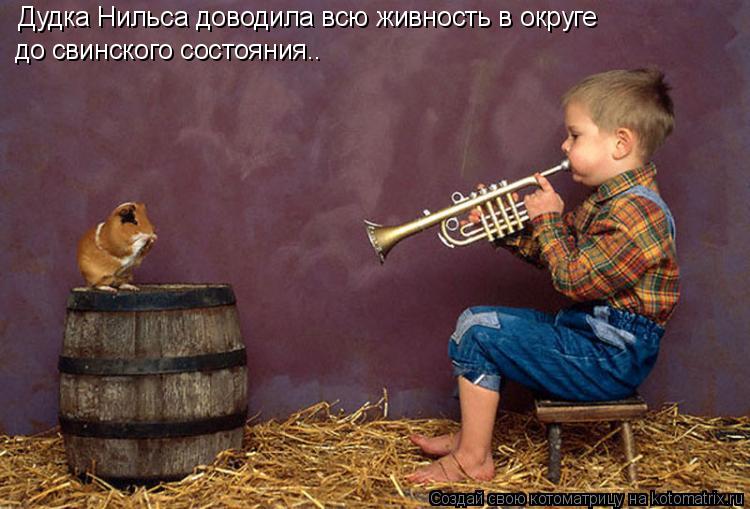 Дудка Нильса доводила всю живность в округе до свинского состояния..... Котоматрица: Дудка Нильса доводила всю живность в округе до свинского состояния..