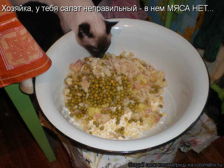 Хозяйка, у тебя салат неправильный - в нем МЯСА НЕТ...... Котоматрица: Хозяйка, у тебя салат неправильный - в нем МЯСА НЕТ...