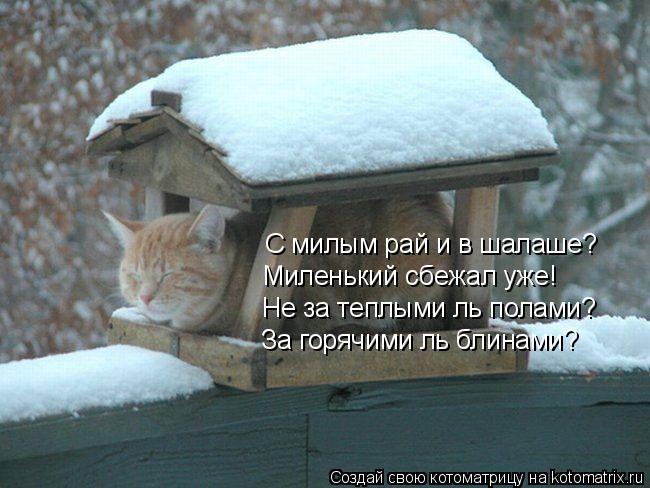 С милым рай и в шалаше? Миленький сбежал уже! Не за теплыми ль полами? За горячими ль блинами?... Котоматрица: С милым рай и в шалаше? Миленький сбежал уже! Не за теплыми ль полами? За горячими ль блинами?