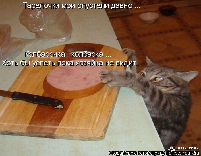 Колбасочка , колбаска ... Хоть бы успеть пока хозяйка не видит... Тарелочки мои опустели давно ...... Котоматрица: Колбасочка , колбаска ... Хоть бы успеть пока хозяйка не видит... Тарелочки мои опустели давно ...