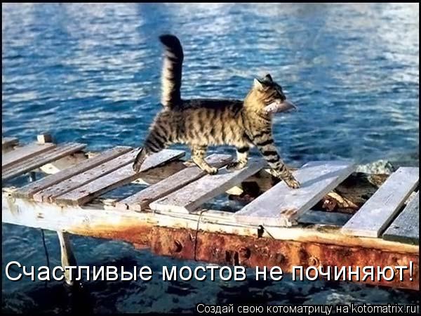 Счастливые мостов не починяют!... Котоматрица: Счастливые мостов не починяют!