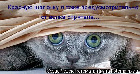 Красную шапочку я тоже предусмотрительно от волка спрятала...... Котоматрица: Красную шапочку я тоже предусмотрительно от волка спрятала...