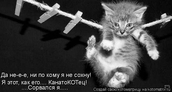 Да не-е-е, ни по кому я не сохну! Я этот, как его.... КанатоКОТец! ....Сорвался я........ Котоматрица: Да не-е-е, ни по кому я не сохну! Я этот, как его.... КанатоКОТец! ....Сорвался я.....