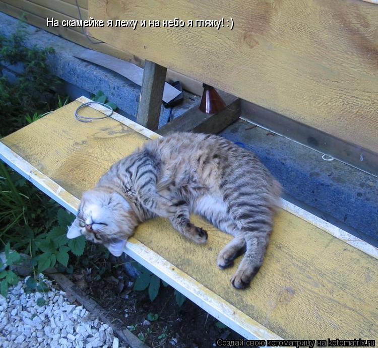 На скамейке я лежу и на небо я гляжу! :)... Котоматрица: На скамейке я лежу и на небо я гляжу! :)