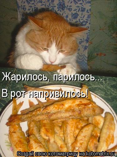 Жарилось, парилось... В рот напривилось!... Котоматрица: Жарилось, парилось... В рот напривилось!