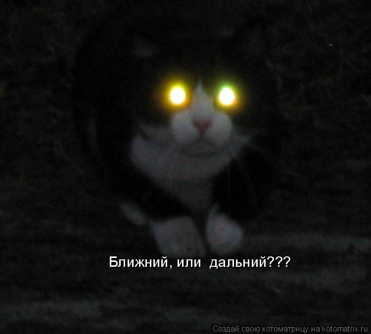 Ближний, или дальний???... Котоматрица: Ближний, или дальний???