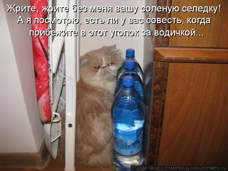 Жрите, жрите без меня вашу соленую селедку! А я посмотрю, есть ли у вас совесть, когда прибежите в эт... Котоматрица: Жрите, жрите без меня вашу соленую селедку! А я посмотрю, есть ли у вас совесть, когда прибежите в этот уголок за водичкой...
