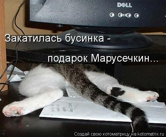 Закатилась бусинка - подарок Марусечкин...... Котоматрица: Закатилась бусинка - подарок Марусечкин...