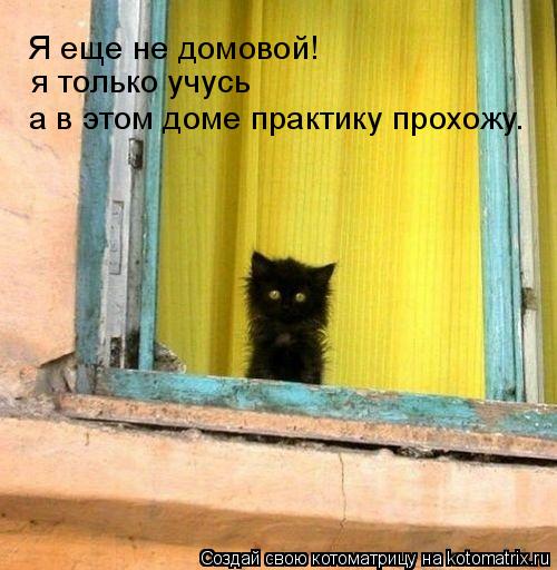 Котоматрица: Я еще не домовой! я только учусь а в этом доме практику прохожу.