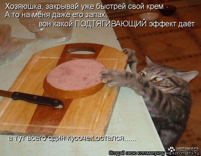 Котоматрица: Хозяюшка, закрывай уже быстрей свой крем А то на меня даже его запах,  вон какой ПОДТЯГИВАЮЩИЙ эффект даёт а тут всего один кусочек остался...