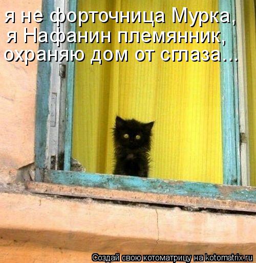 Котоматрица: я не форточница Мурка, я Нафанин племянник, охраняю дом от сглаза...