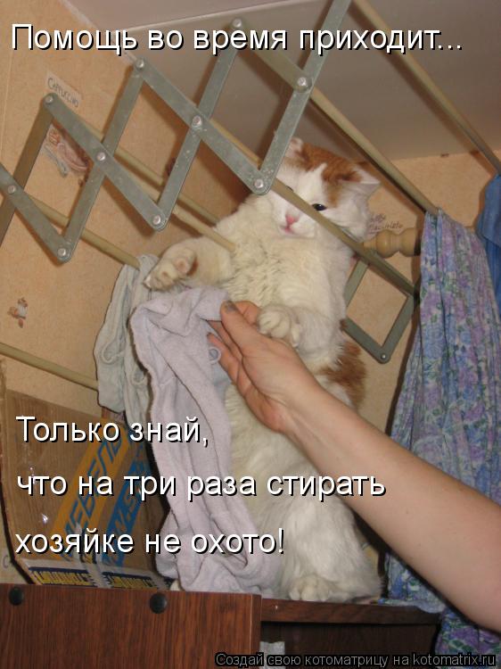 Помощь во время приходит... Только знай, что на три раза стирать хозяйке не охото!... Котоматрица: Помощь во время приходит... Только знай, что на три раза стирать хозяйке не охото!