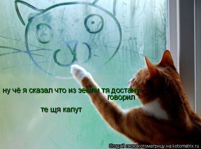 ну чё я сказал что из земли тя достану говорил те щя капут... Котоматрица: ну чё я сказал что из земли тя достану говорил те щя капут