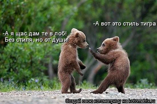 -А вот это стиль тигра -А я щас дам те в лоб! Без стиля, но от души!... Котоматрица: -А вот это стиль тигра -А я щас дам те в лоб! Без стиля, но от души!