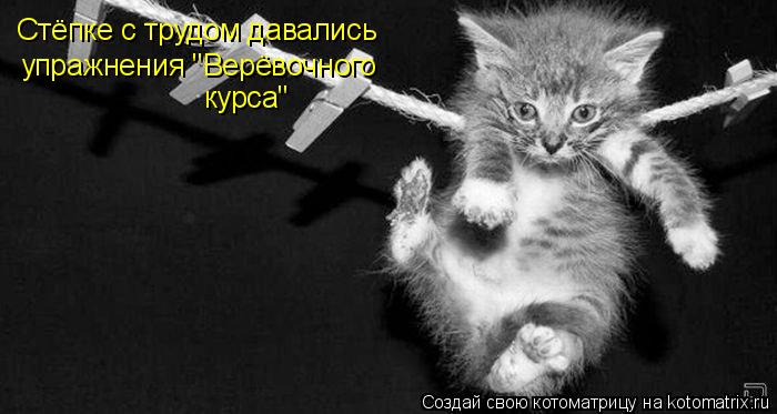 Стёпке с трудом давались упражнения "Верёвочного курса"... Котоматрица: Стёпке с трудом давались упражнения "Верёвочного курса"