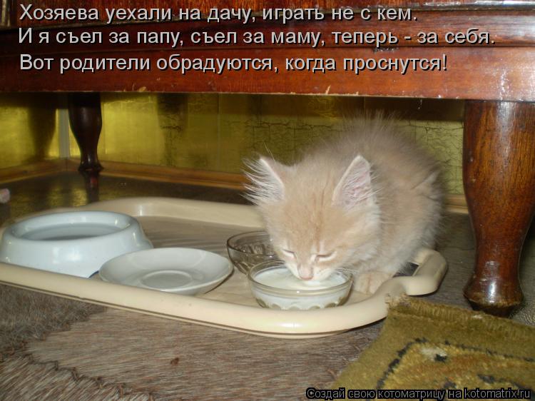 Вот родители обрадуются, когда проснутся! Хозяева уехали на дачу, играть не с кем. И я съел за папу... Котоматрица: Вот родители обрадуются, когда проснутся! Хозяева уехали на дачу, играть не с кем. И я съел за папу, съел за маму, теперь - за себя.