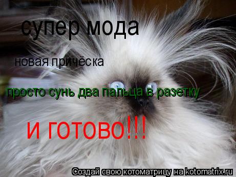 супер мода новая причёска просто сунь два пальца в разетку и готово!!!... Котоматрица: супер мода новая причёска просто сунь два пальца в разетку и готово!!!