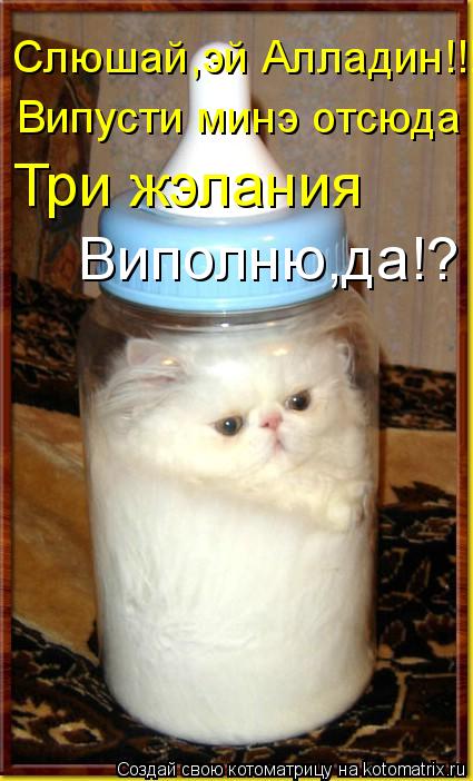 Слюшай,эй Алладин!!! Випусти минэ отсюда Три жэлания Виполню,да!?... Котоматрица: Слюшай,эй Алладин!!! Випусти минэ отсюда Три жэлания Виполню,да!?