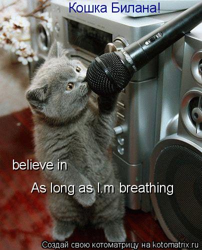 Кошка Билана! believe in As long as I’m breathing... Котоматрица: Кошка Билана! believe in As long as I’m breathing