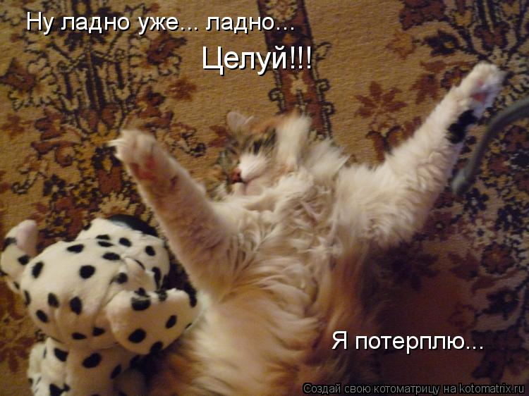 Ну ладно уже... ладно... Целуй!!! Я потерплю...... Котоматрица: Ну ладно уже... ладно... Целуй!!! Я потерплю...