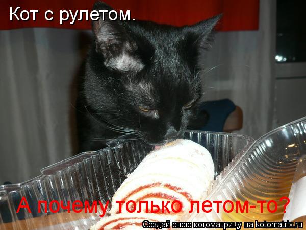 Кот с рулетом. А почему только летом-то?... Котоматрица: Кот с рулетом. А почему только летом-то?