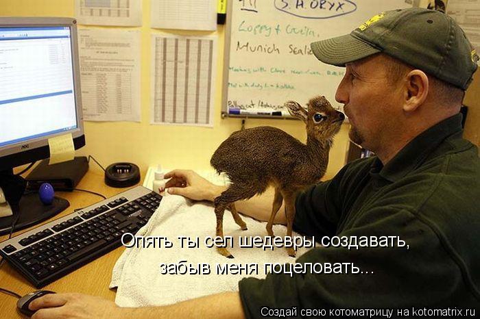 Опять ты сел шедевры создавать, забыв меня поцеловать...... Котоматрица: Опять ты сел шедевры создавать, забыв меня поцеловать...