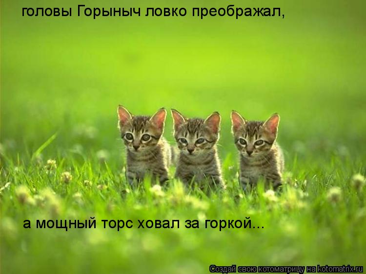 головы Горыныч ловко преображал, а мощный торс ховал за горкой...... Котоматрица: головы Горыныч ловко преображал, а мощный торс ховал за горкой...