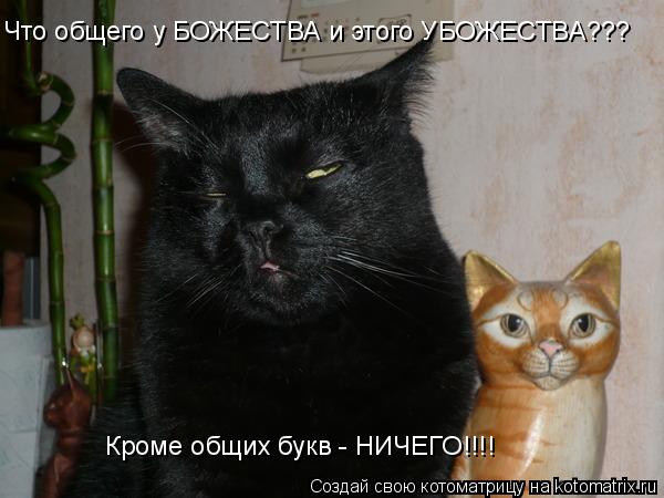 Что общего у БОЖЕСТВА и этого УБОЖЕСТВА??? Кроме общих букв - НИЧЕГО!!!!... Котоматрица: Что общего у БОЖЕСТВА и этого УБОЖЕСТВА??? Кроме общих букв - НИЧЕГО!!!!