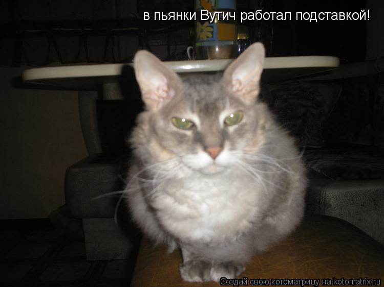 в пьянки Вутич работал подставкой!... Котоматрица: в пьянки Вутич работал подставкой!