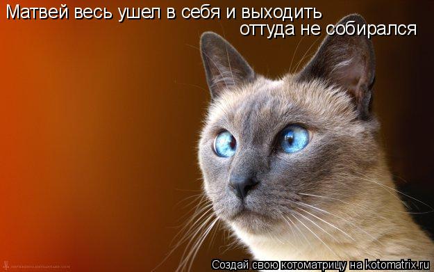 Матвей весь ушел в себя и выходить оттуда не собирался... Котоматрица: Матвей весь ушел в себя и выходить оттуда не собирался