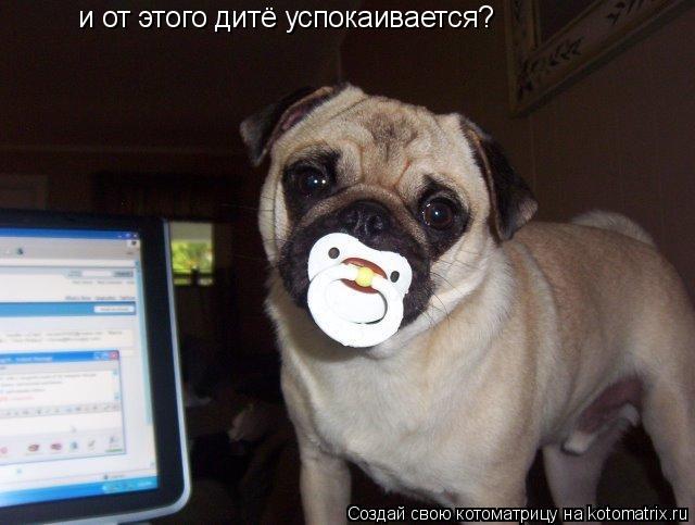 и от этого дитё успокаивается?... Котоматрица: и от этого дитё успокаивается?